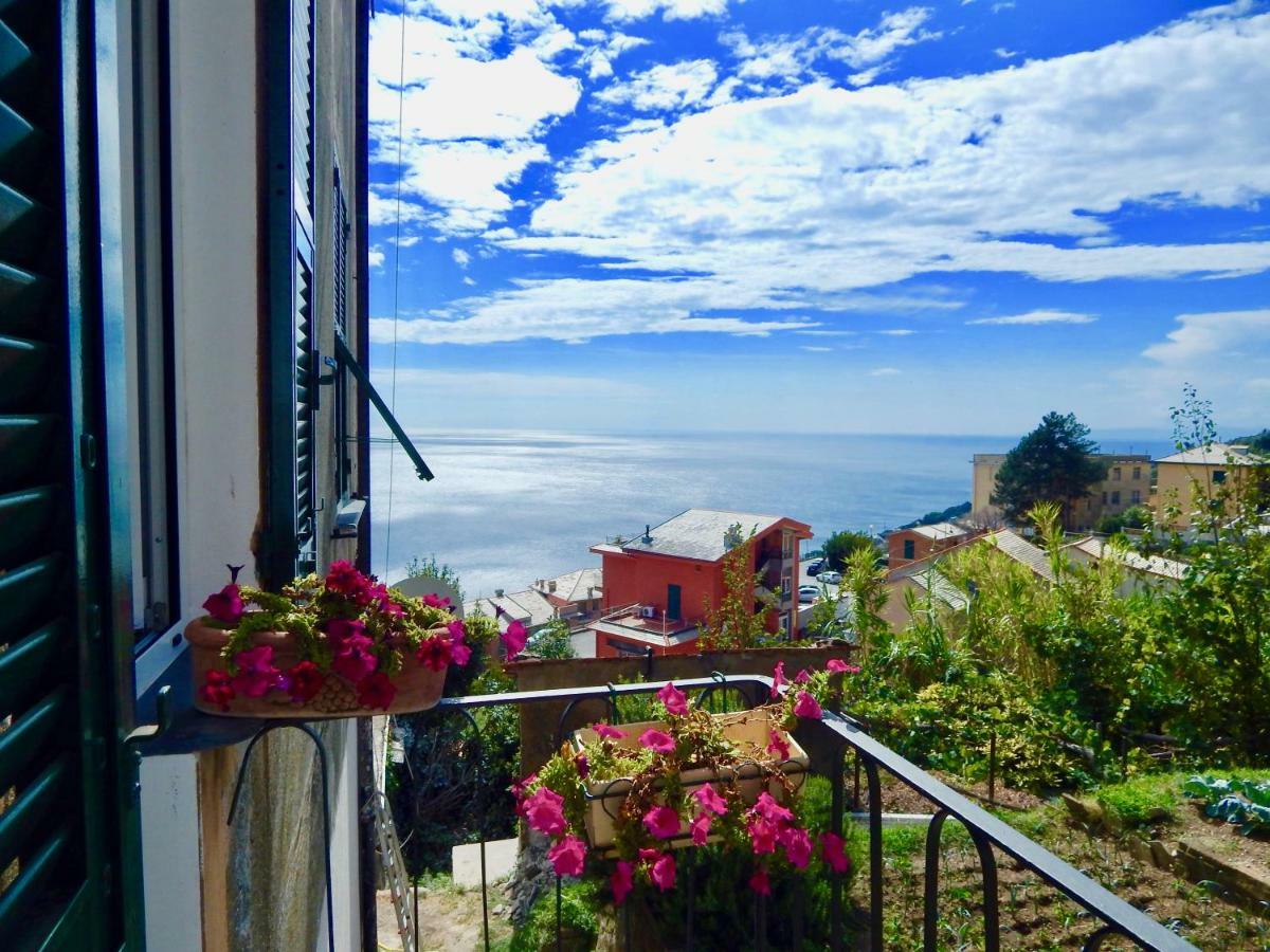 Le Giüe Genua