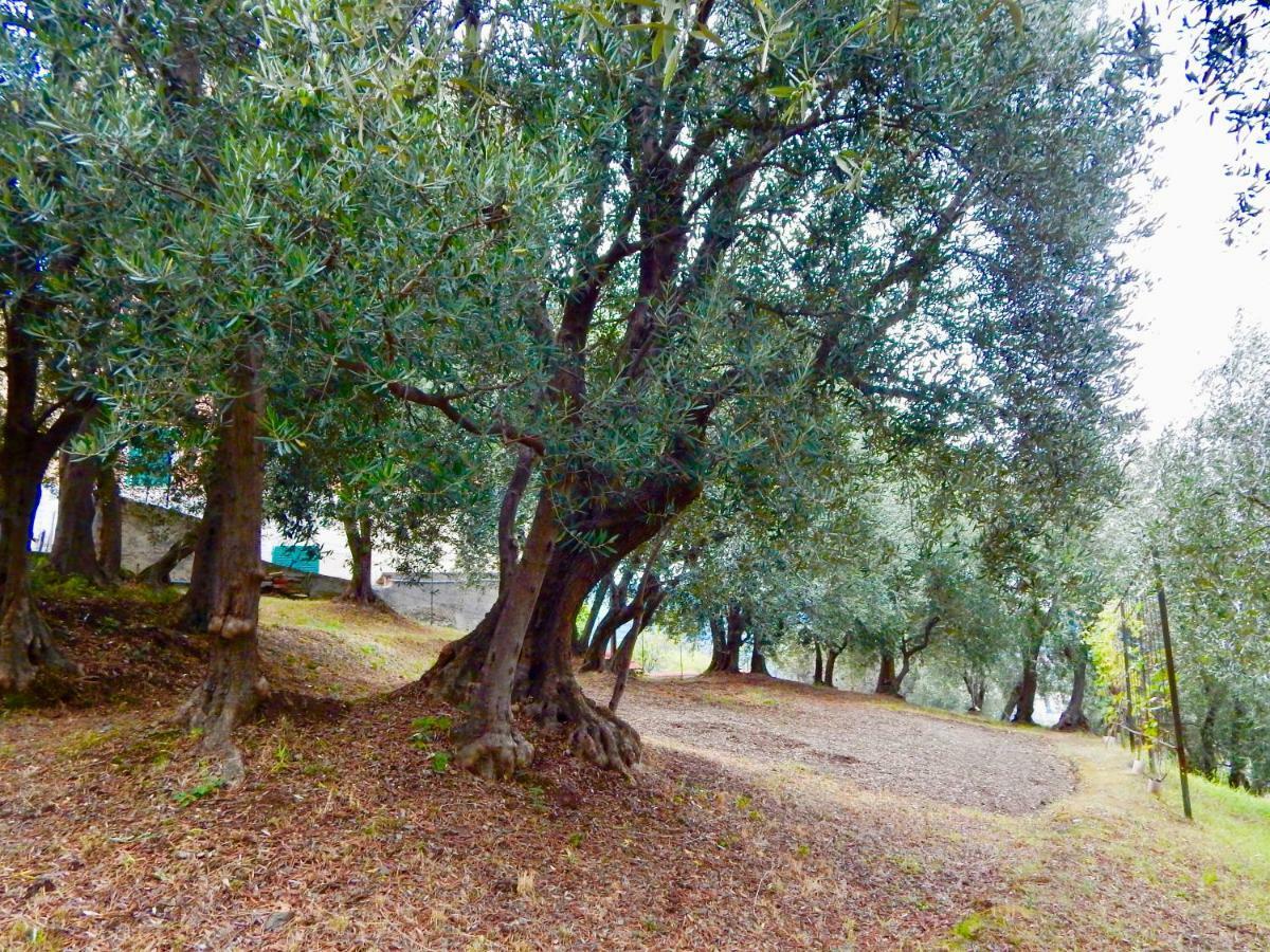 Le Giuee Casa de hóspedes Génova