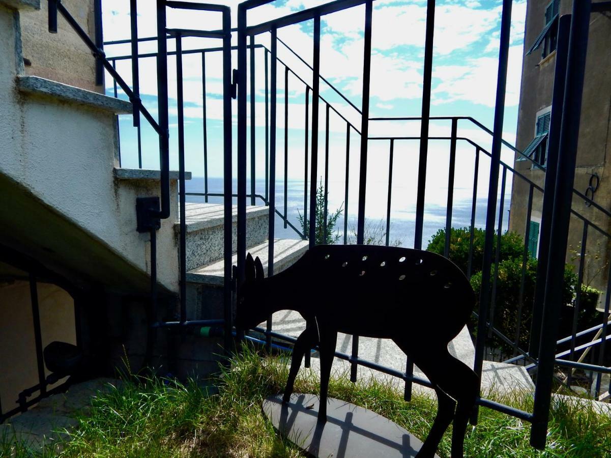 Le Giuee Casa de hóspedes Génova